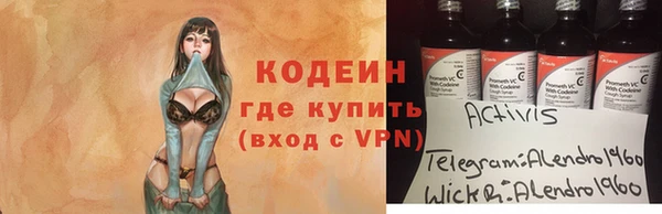 стаф Богданович