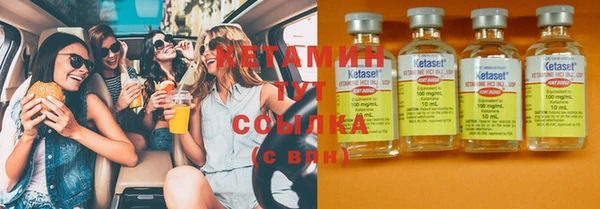 сатива Белокуриха