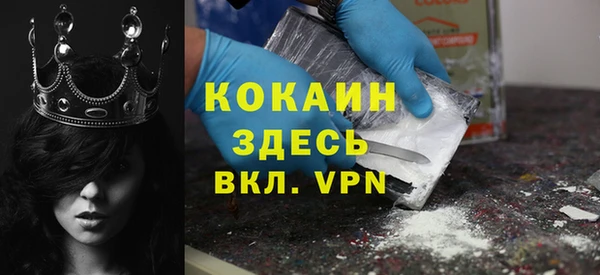 сатива Белокуриха